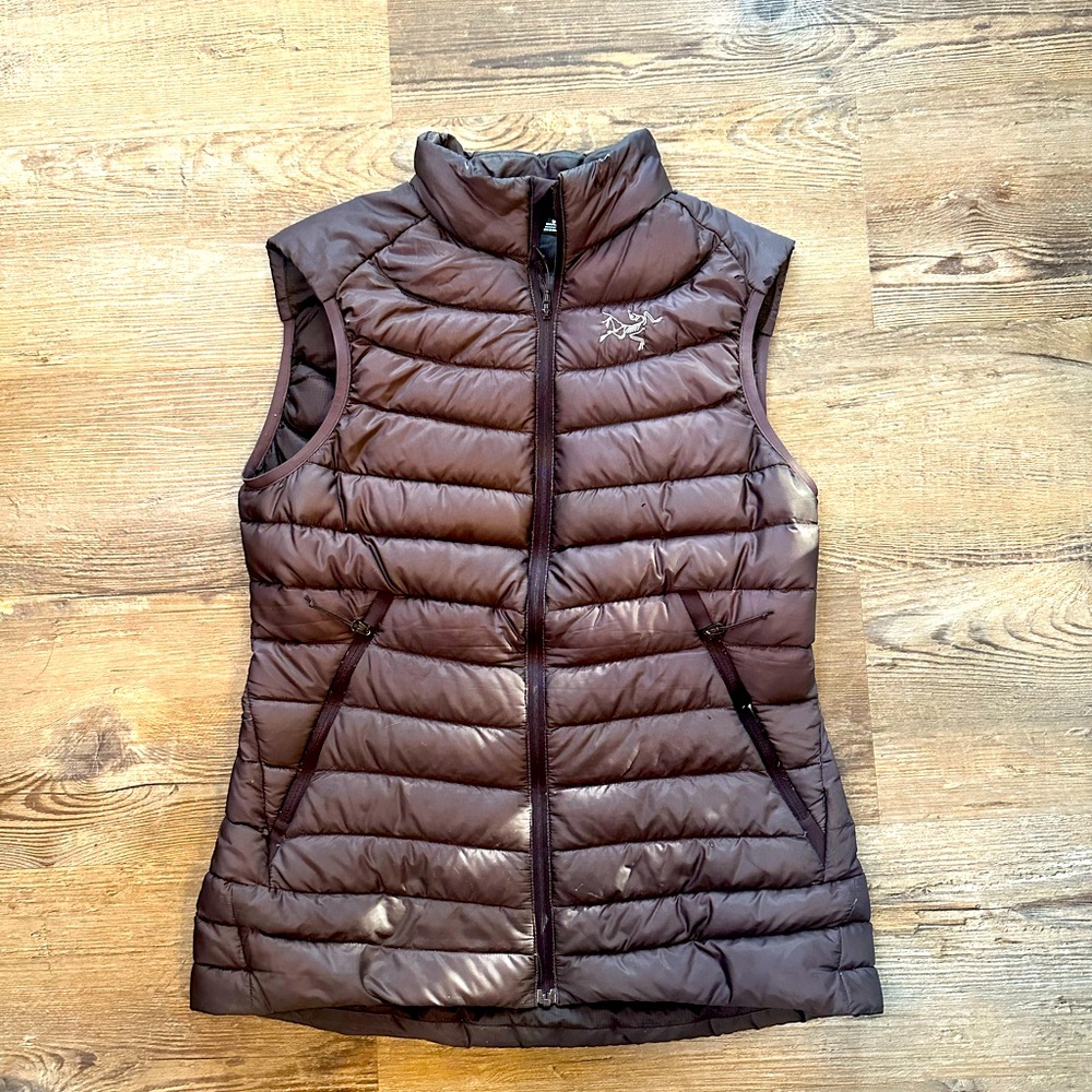 Purple Arc’teryx Vest
